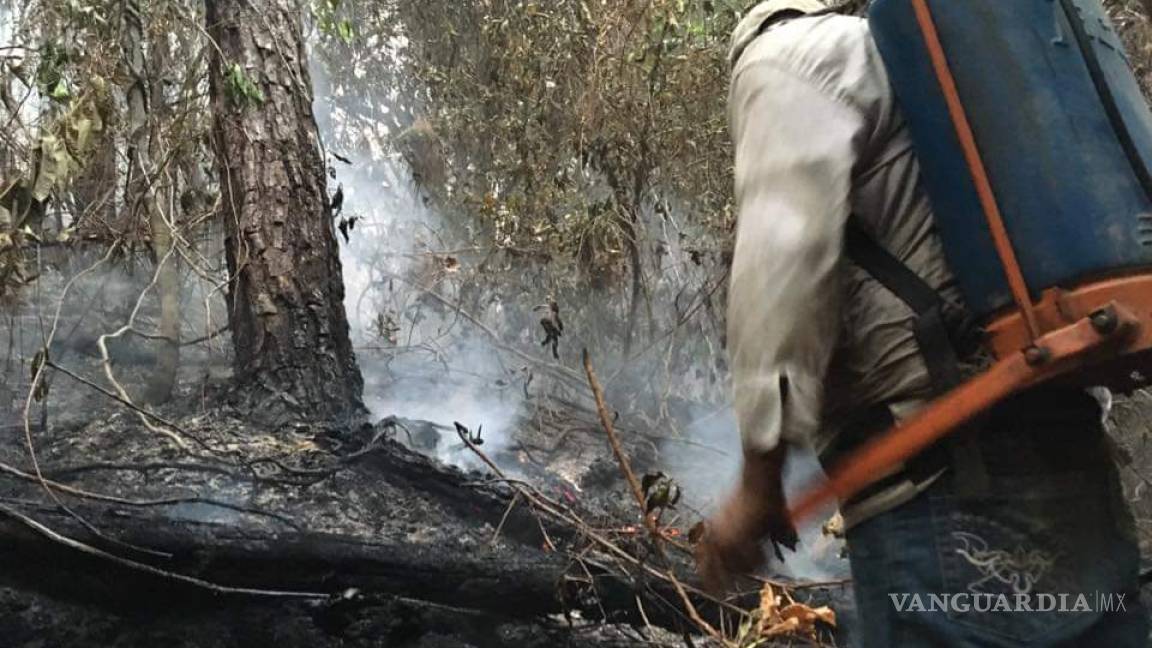 Selva Ayuuk en Oaxaca bajo amenaza por incendio