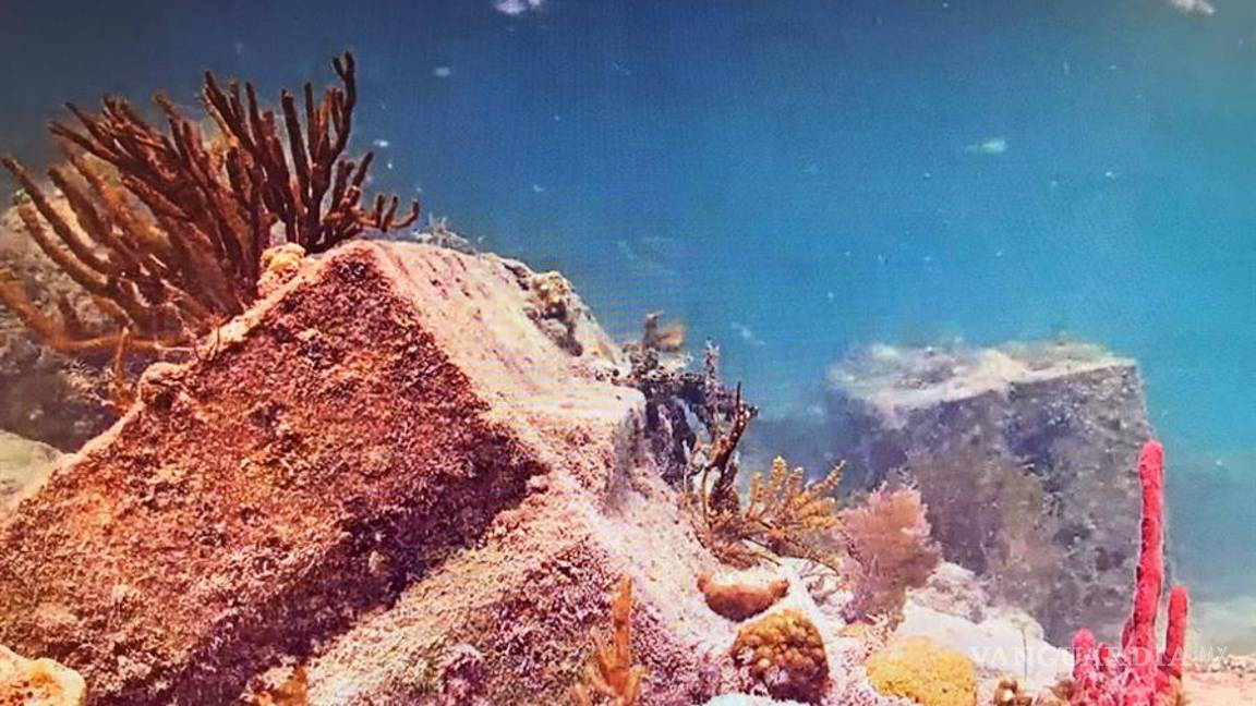 $!Mira cómo festeja el Día de la Tierra sus primeros 50 años con una pandemia global por el COVID-19