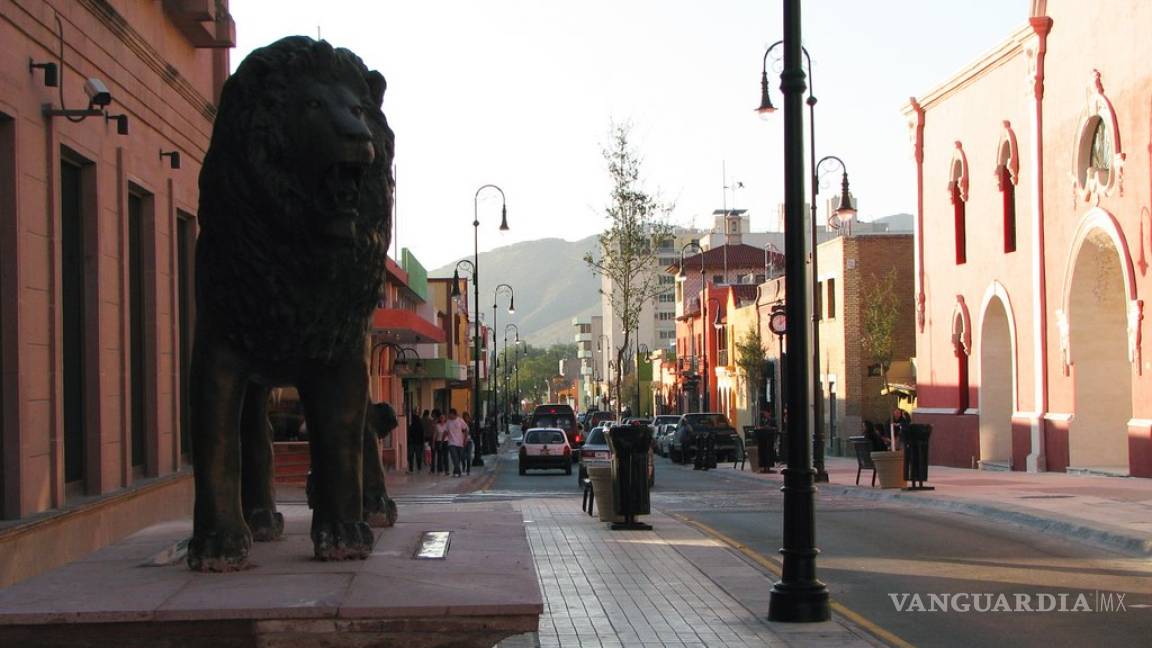 Propone regidor cambiar leones por osos negros en calle Victoria de Saltillo
