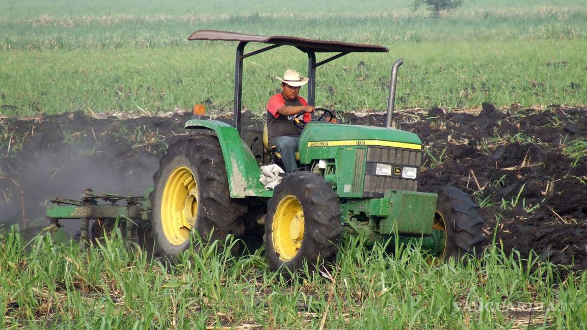 Propone Morena ley antilatifundio agropecuario