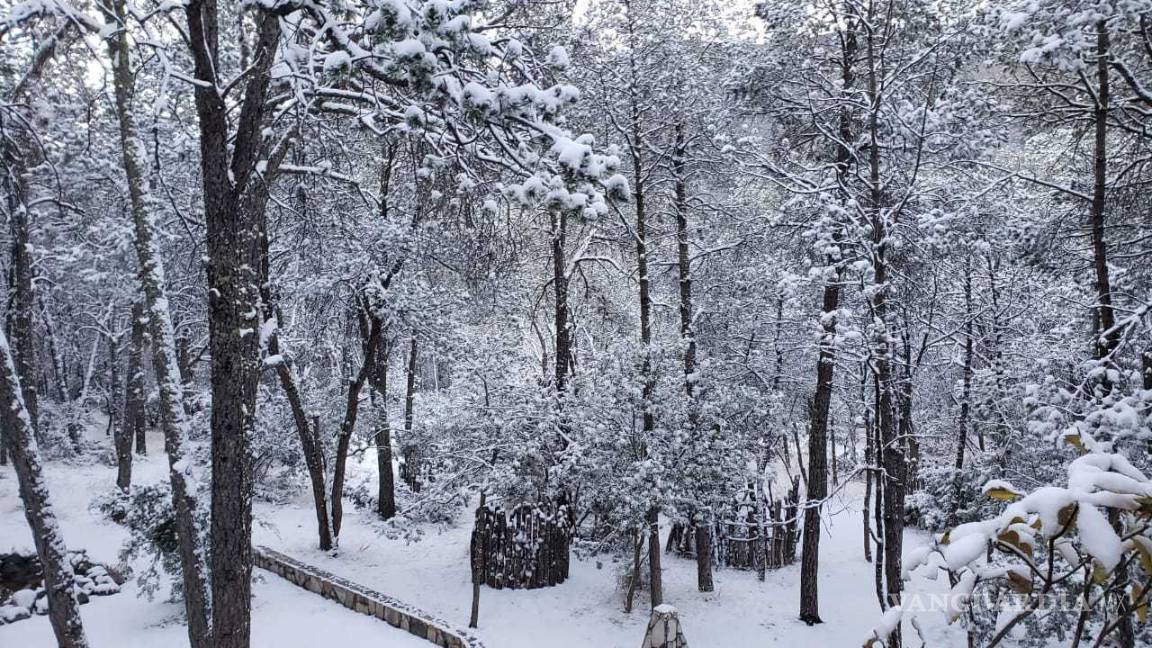 $!Arteaga se pinta de blanco en el último día del año