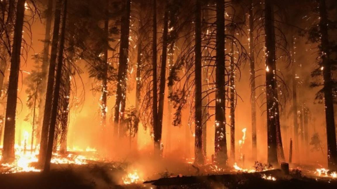 $!Sube a 83 el número de muertos por incendios en California