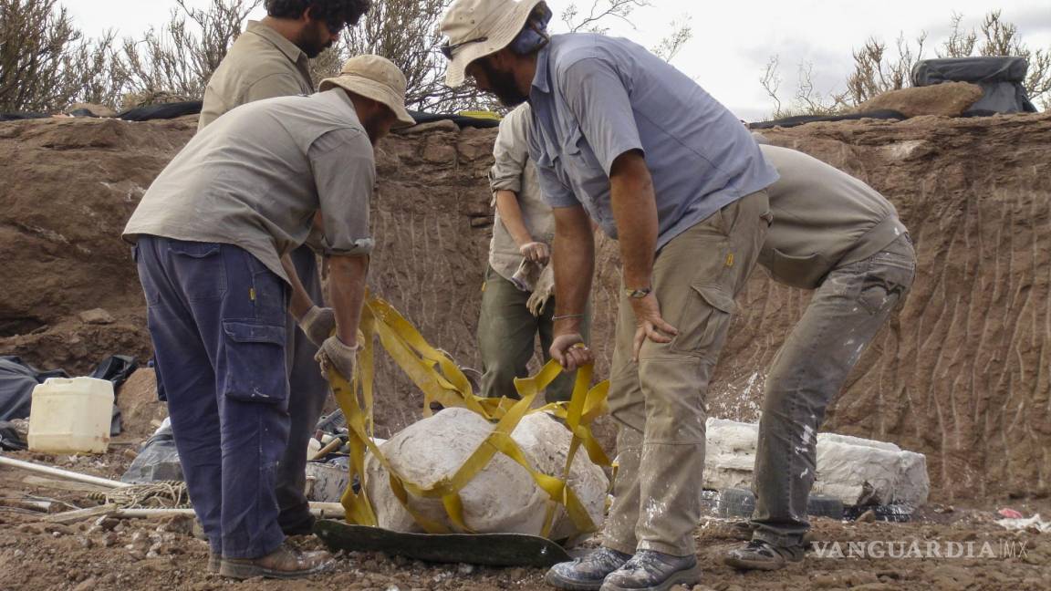 $!Vista de las excavaciones en la Patagonia argentina, donde se encontraron los restos del Meraxe gigas, una nueva especie de dinosaurio.