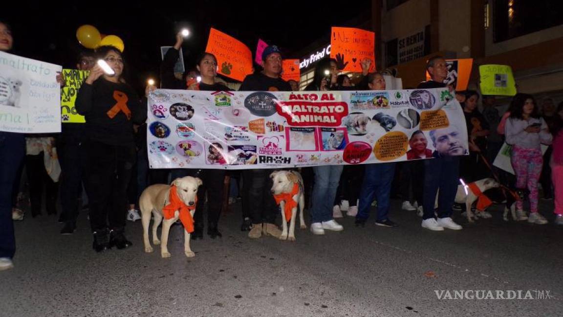 Marchan en Saltillo en defensa de los animales, exigen termine maltrato y ofrecen soluciones