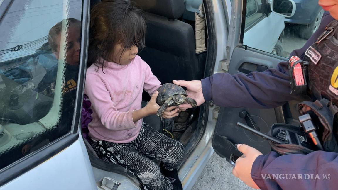 Bomberos rescatan a ‘Princesa’ de incendio en Saltillo; tortuga mascota es entregada a su familia