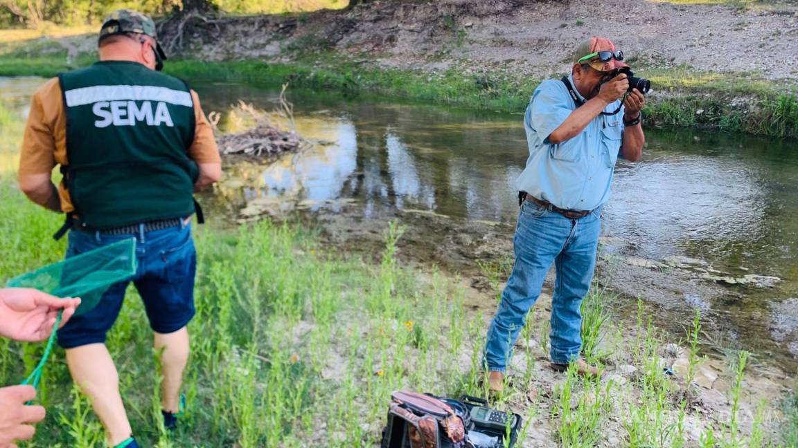 Acuña: Monitorean calidad del agua del Arroyo Las Vacas; visitarán más puntos estratégicos