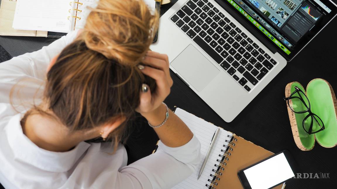 ¿Cuándo es conveniente elegir la carrera universitaria?