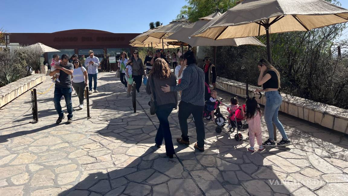 $!A pesar de los esfuerzos del Museo del Desierto para mejorar la atención a los visitantes, las deficiencias en el estacionamiento continúan generando quejas.