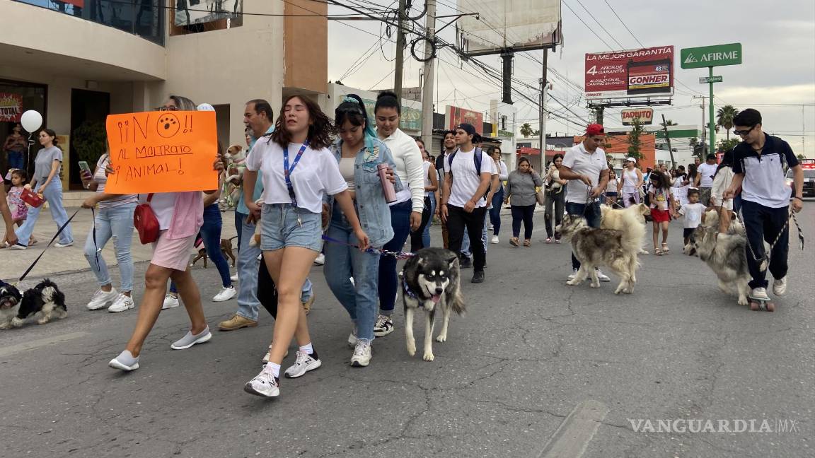 ‘Bomberos asesinos’; ciudadanos exigen justicia por muerte de perritos en Monclova