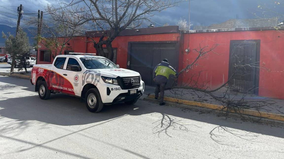 $!Árboles caídos, panorámicos dañados, postes derribados, entre otras, fueron las alertas que atendió Protección Civil y Bomberos.