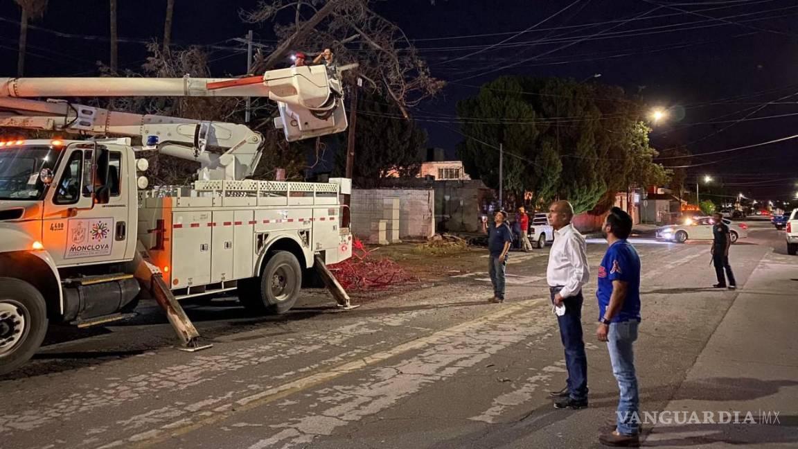 Tormenta derrumba 25 árboles en Monclova: Protección Civil