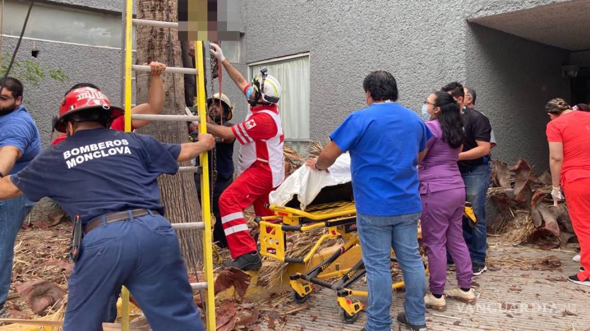 Trabajador del Ayuntamiento de Monclova muere prensado por ramas de palma que podaba