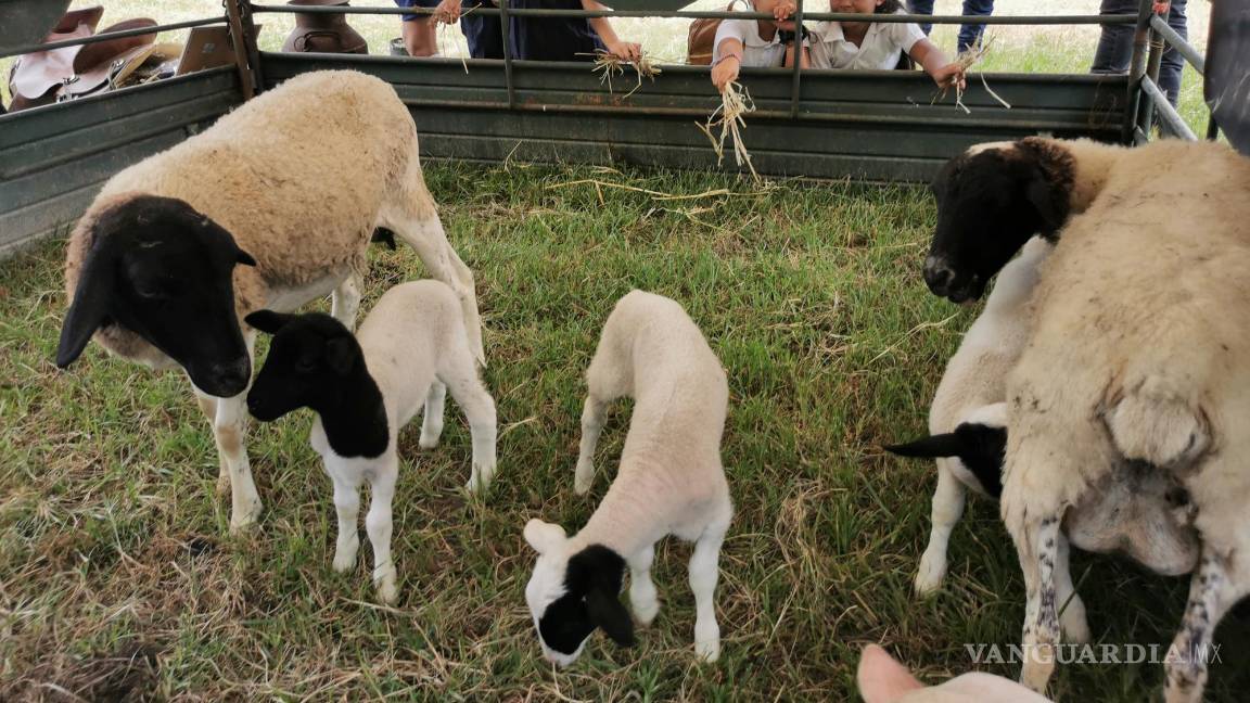 Que campesinos y ganaderos de Acuña sean amigables con el medio ambiente; su encomienda
