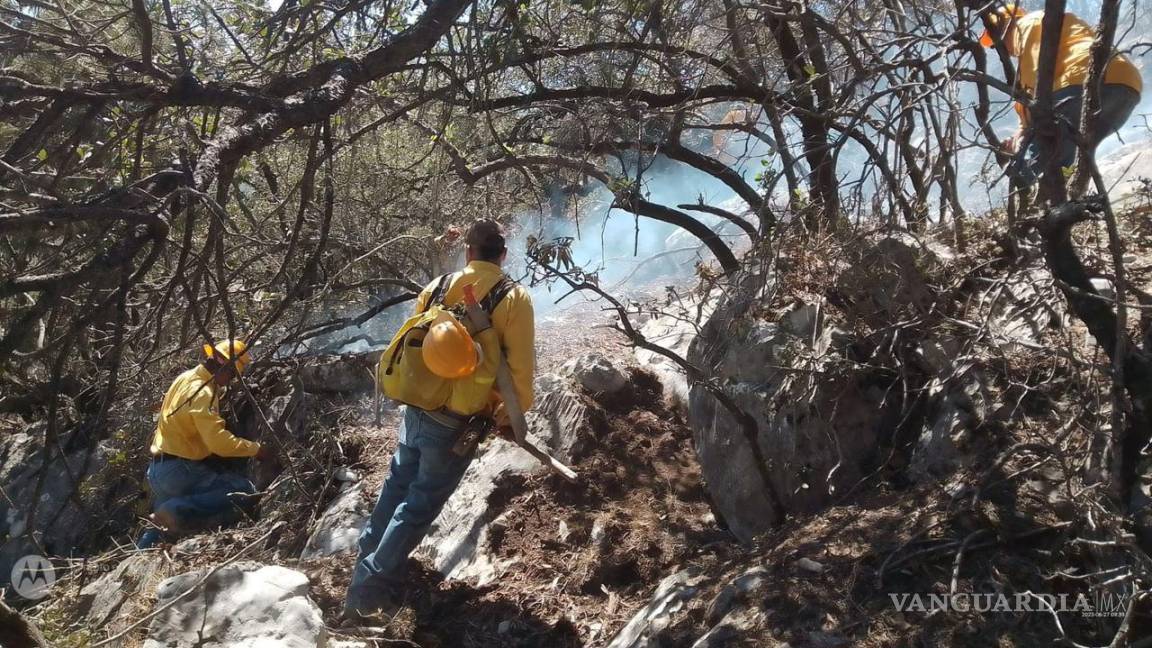 Más de 350 incendios y conatos se han registrado en baldíos y arroyos de Saltillo en lo que va del año