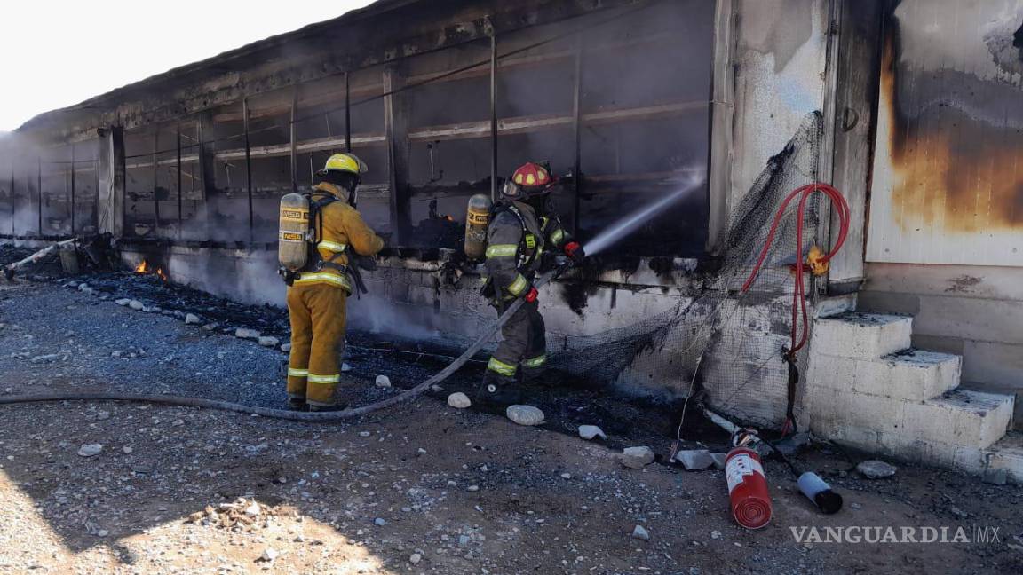 12 mil aves muertas deja incendio en nave de Bachoco