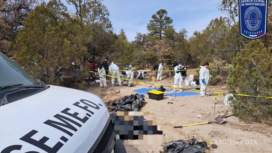 $!Hallan 91 cuerpos en fosa clandestina ‘El Willy’ en Nuevo Casas Grandes; 62 víctimas ya fueron identificadas