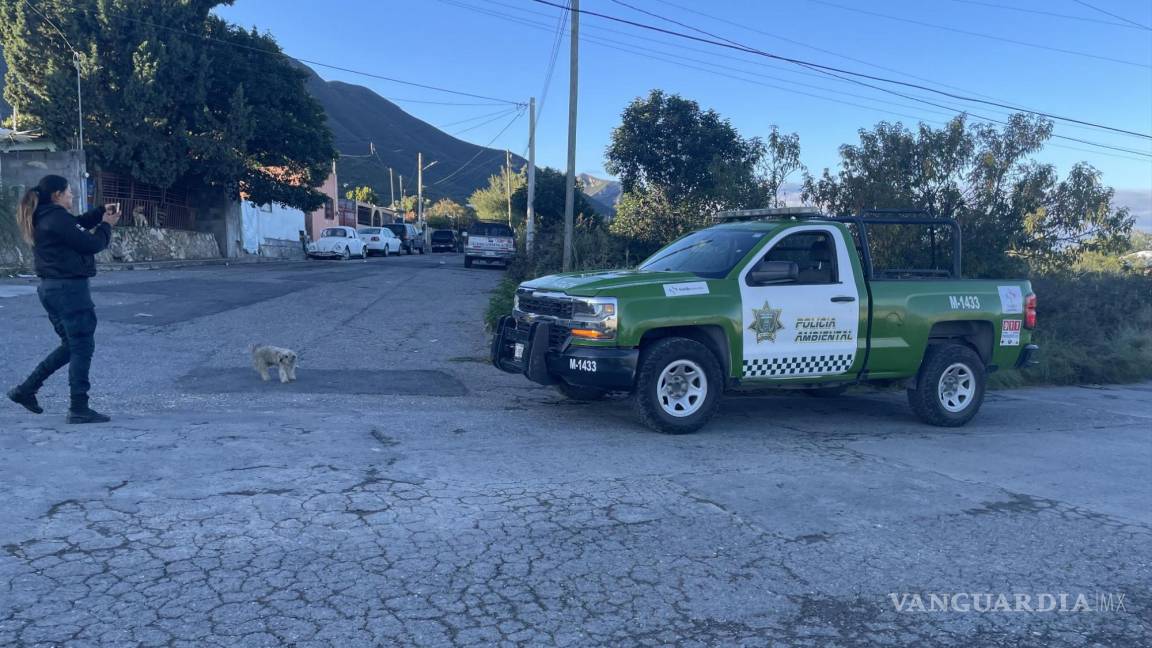 Reportan osezno en zona de Lomas de Lourdes