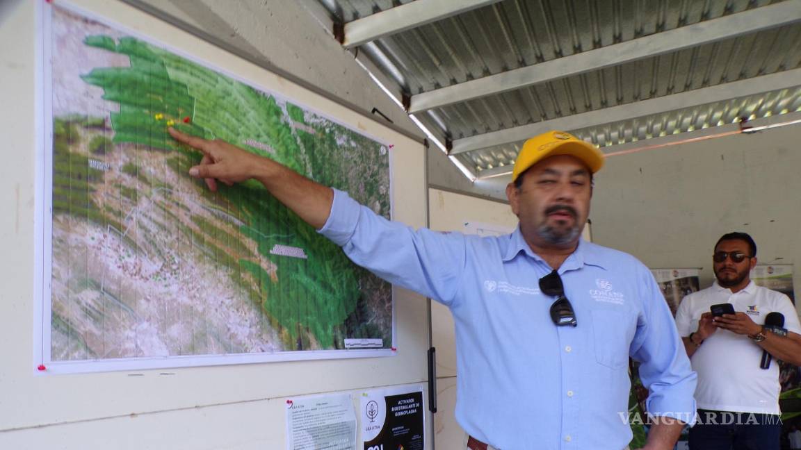 $!Los especialistas dieron detalles de la labora tecnológica de reforestación.