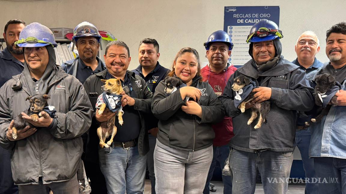 $!Como parte de su compromiso social, Tupy organizó actividades para sensibilizar a su personal sobre la importancia del bienestar animal.