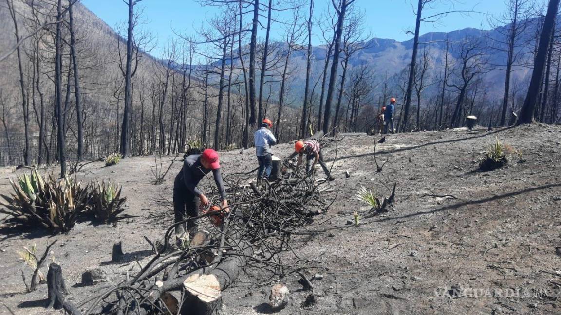 Por vencer plazo para investigación de incendio de marzo de 2021 en La Pinalosa, en Arteaga