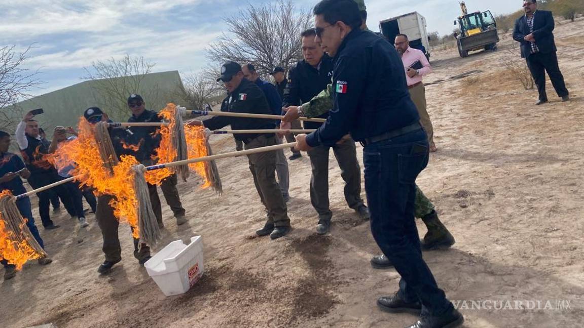 Incineran en San Pedro casi dos toneladas de mariguana, cocaína y fentanilo