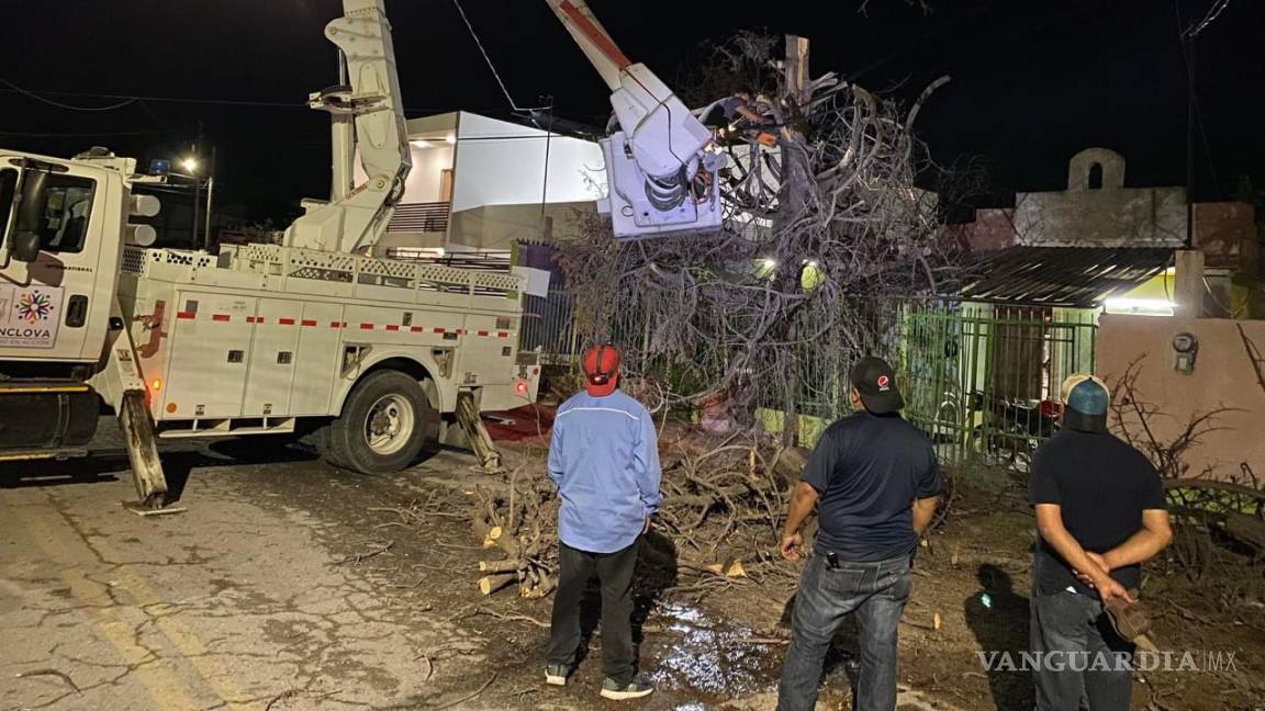 Tormenta derrumba 25 árboles en Monclova: Protección Civil
