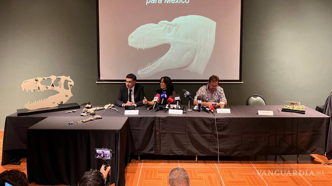 $!Los investigadores destacan que este descubrimiento contribuye a resaltar la riqueza paleontológica de México.