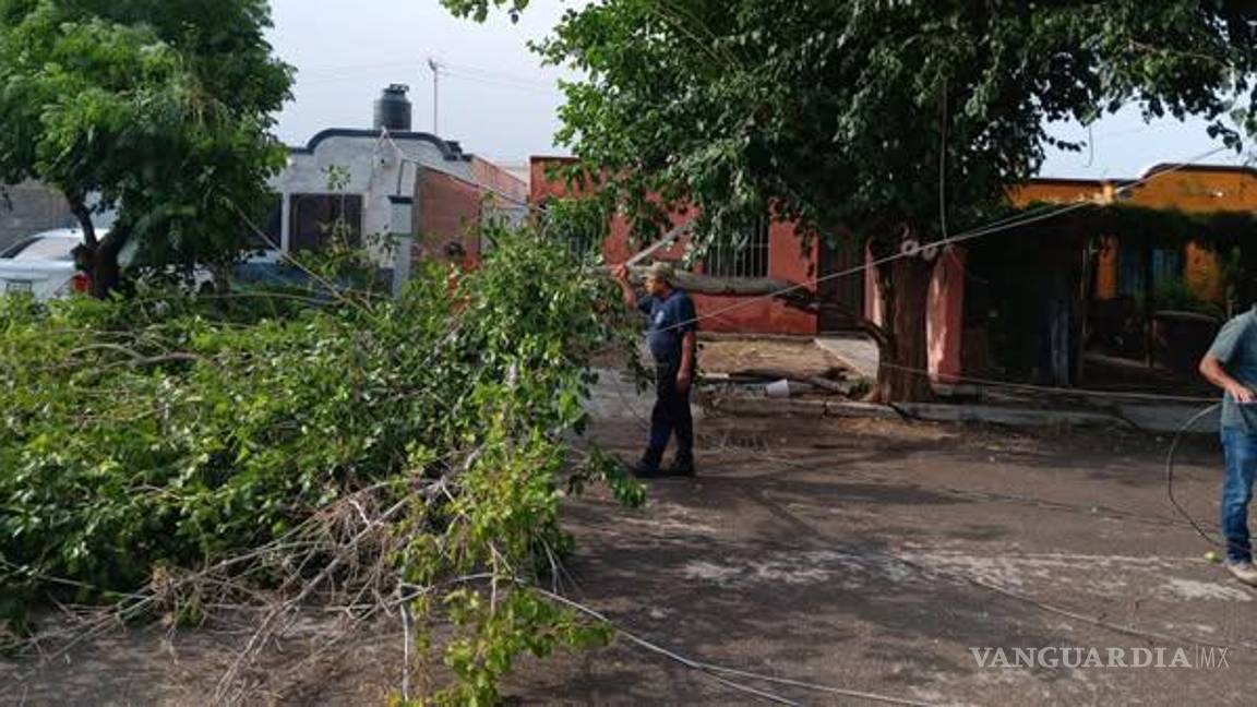 Bomberos de San Pedro activan protocolos de seguridad por tormenta eléctrica