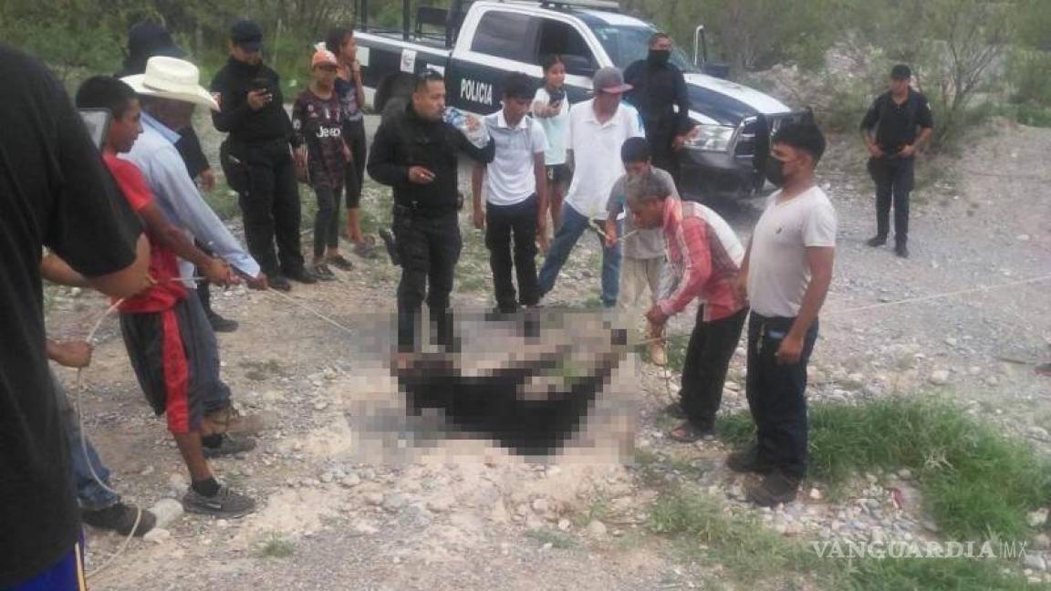 Propaec pide cárcel para culpables por muerte de osita asesinada en Castaños