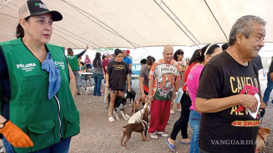$!Un grupo de 400 animales, entre perros y gatos, son atendidos gratuitamente en la jornada de salud.