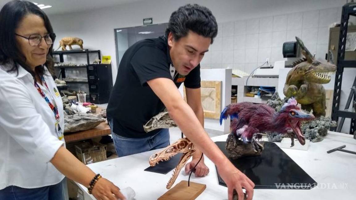 $!Fue hace dos meses que por fin lograron confirmar que se trataba de un troodontido, y es el primero que se identifica en México.