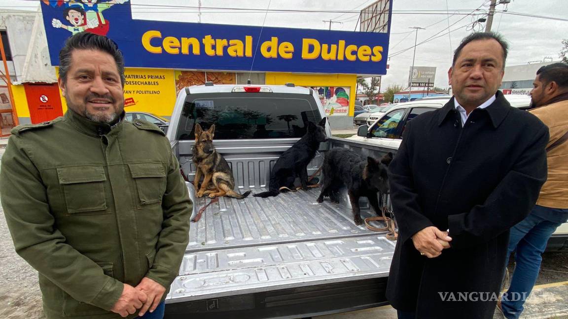 Policía de Monclova tendrá como binomios caninos a 3 pastores alemanes