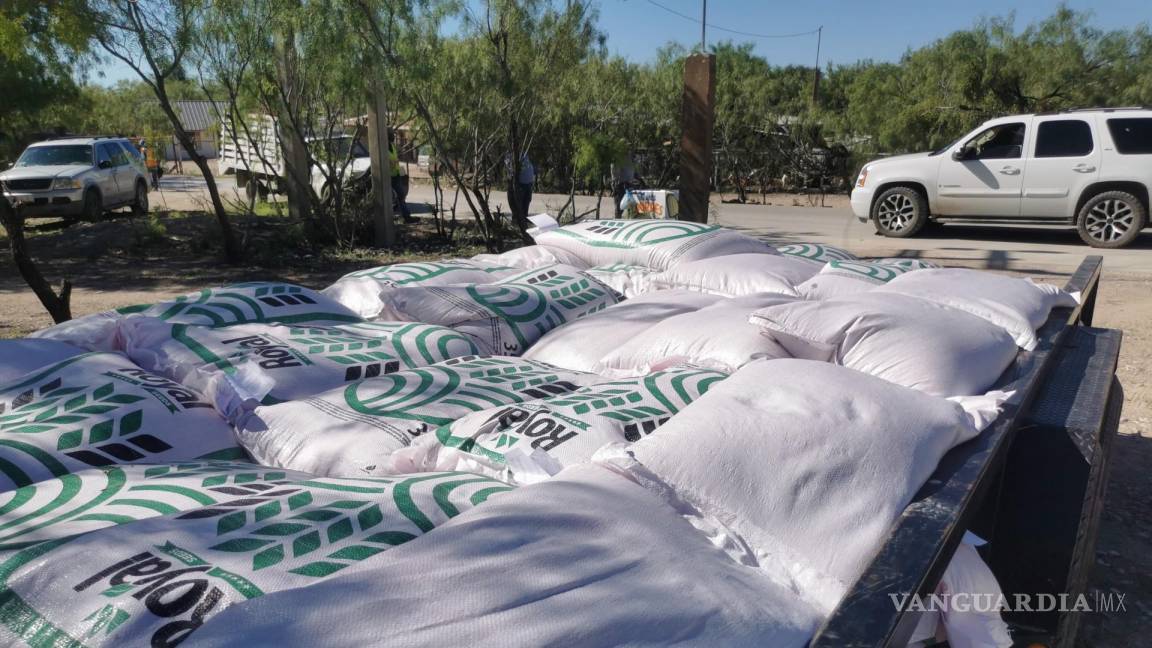 Ofrecen a agricultores de Acuña paquetes de semilla de avena forrajera subsidiada