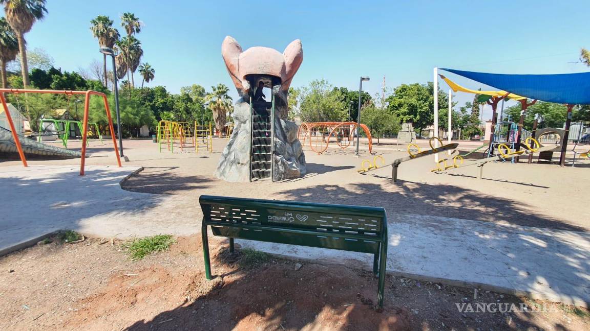 Le dan ‘manita de gato’ al Bosque Venustiano Carranza de Torreón y suman 40 bancas