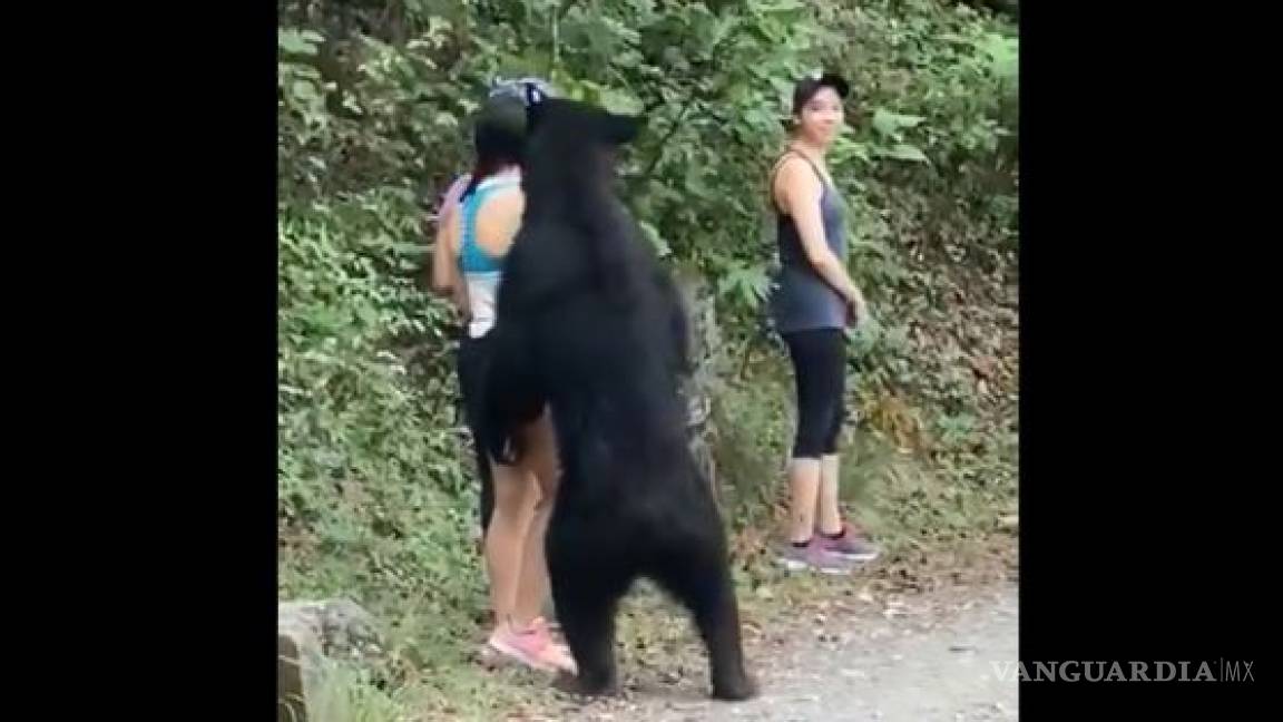 Caminantes viven momento de pánico luego de toparse con un oso en Chipinque (video)