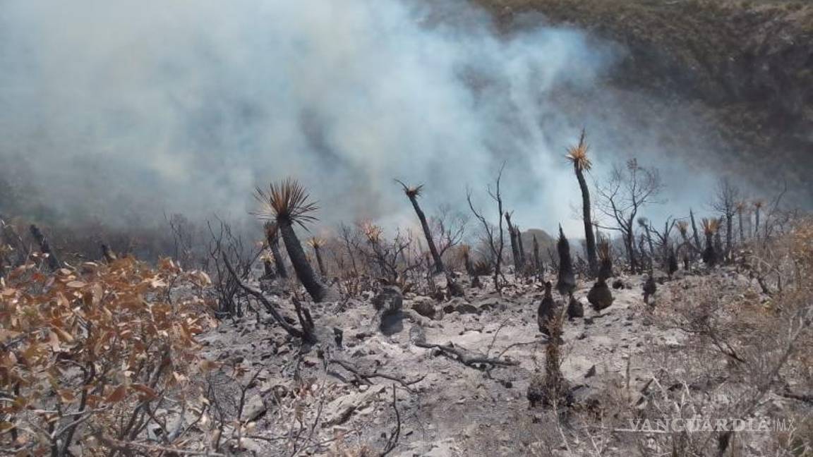 $!Además se contó con equipo aéreo: un helicóptero del Gobierno Federal (Conagua) y una aeronave del Gobierno del Estado.