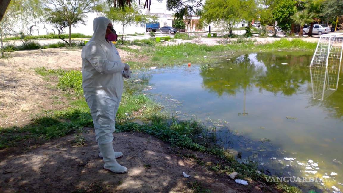 Retoman en Torreón programa permanente de salubridad