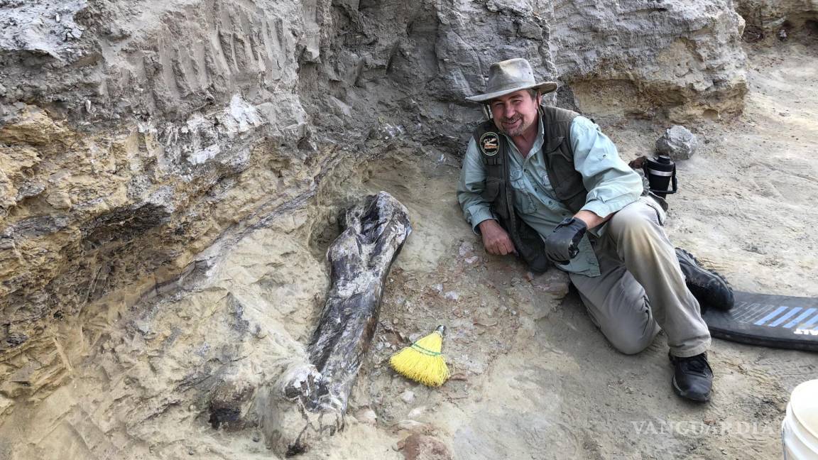 Museo de Florida exhibirá un Triceratops, el mayor de su especie nunca antes descubierto