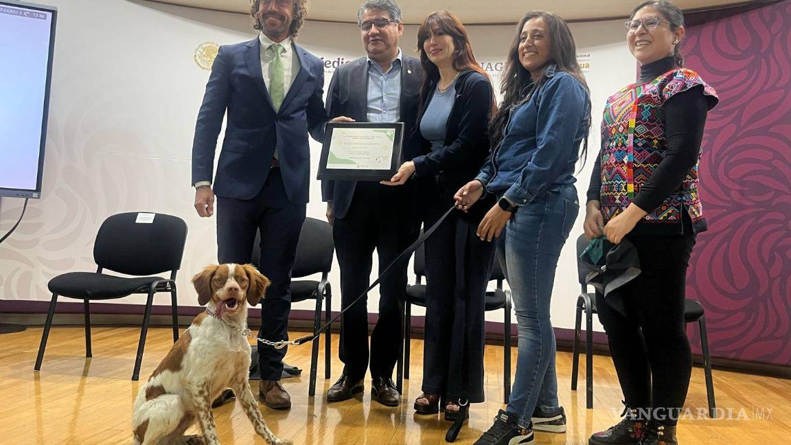 Reconoce Conagua al perrito ‘Manchas’ como Guardián del Agua, por su labor en la detección de fugas en Saltillo