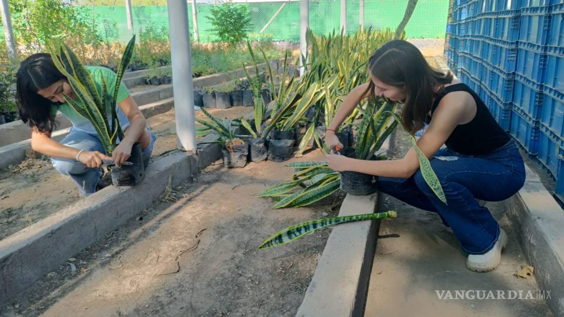 Lleva Medio Ambiente de Torreón reforestación a planteles educativos