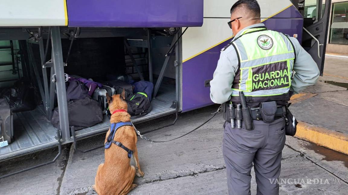 ¿Fentanilo en Coahuila? Aseguran maleta con 3 mil pastillas en la Central de Autobuses de Torreón