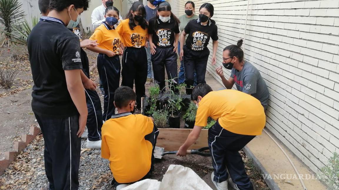 Promueven alumnos de Universidad Carolina la creación de Jardines Polinizantes