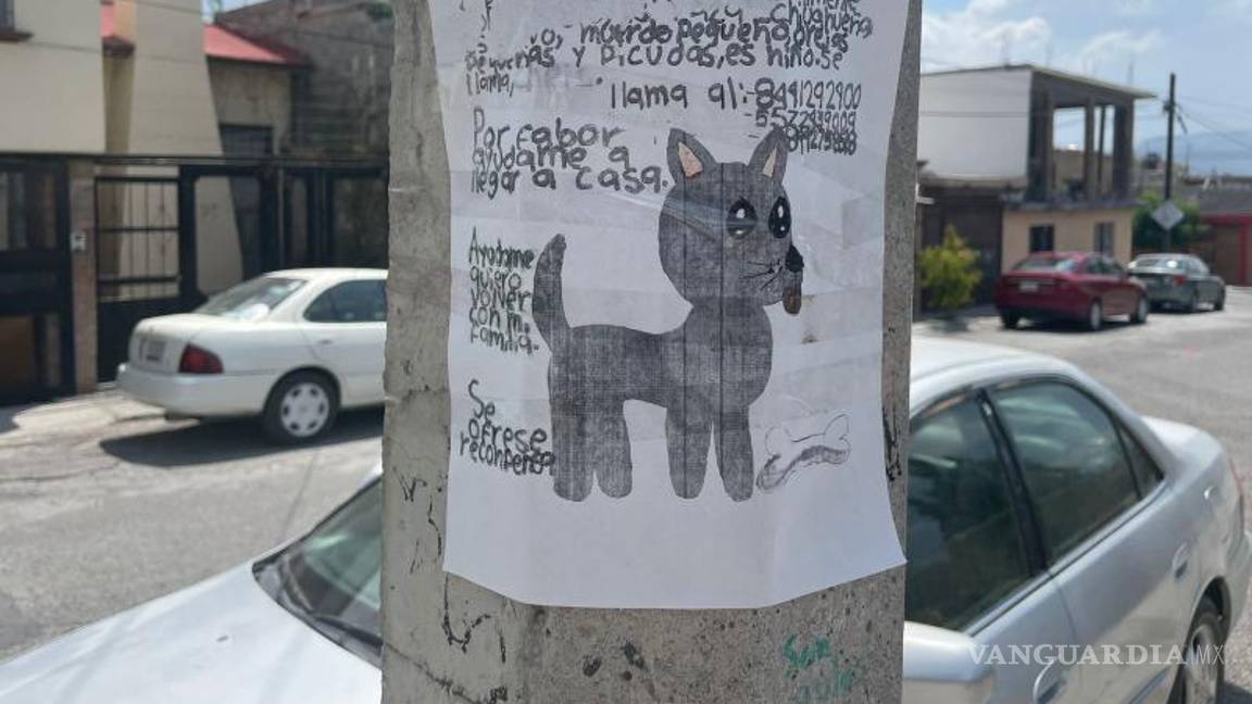 $!La madre del pequeño, Elsa Ramírez, sospecha que alguien más pudo haberlo tomado.