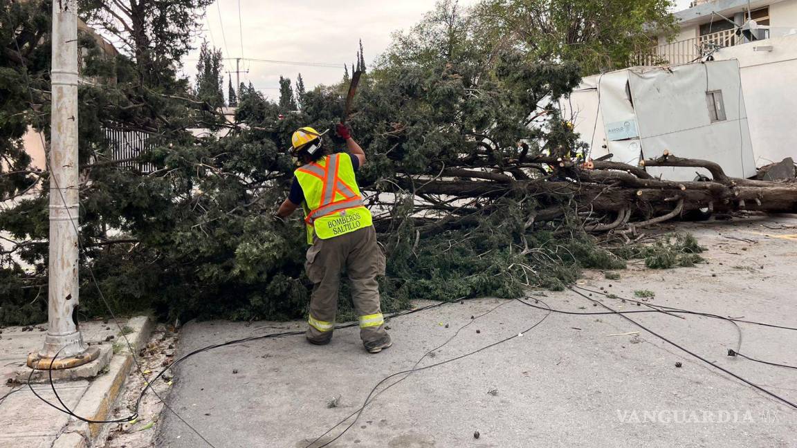 ¡Cuidado! Fuertes vientos se esperan para hoy en Saltillo