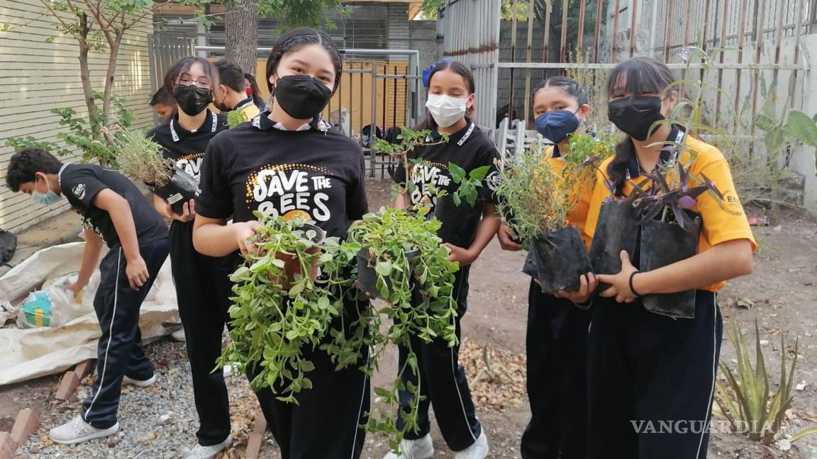 Promueven alumnos de Universidad Carolina la creación de Jardines Polinizantes