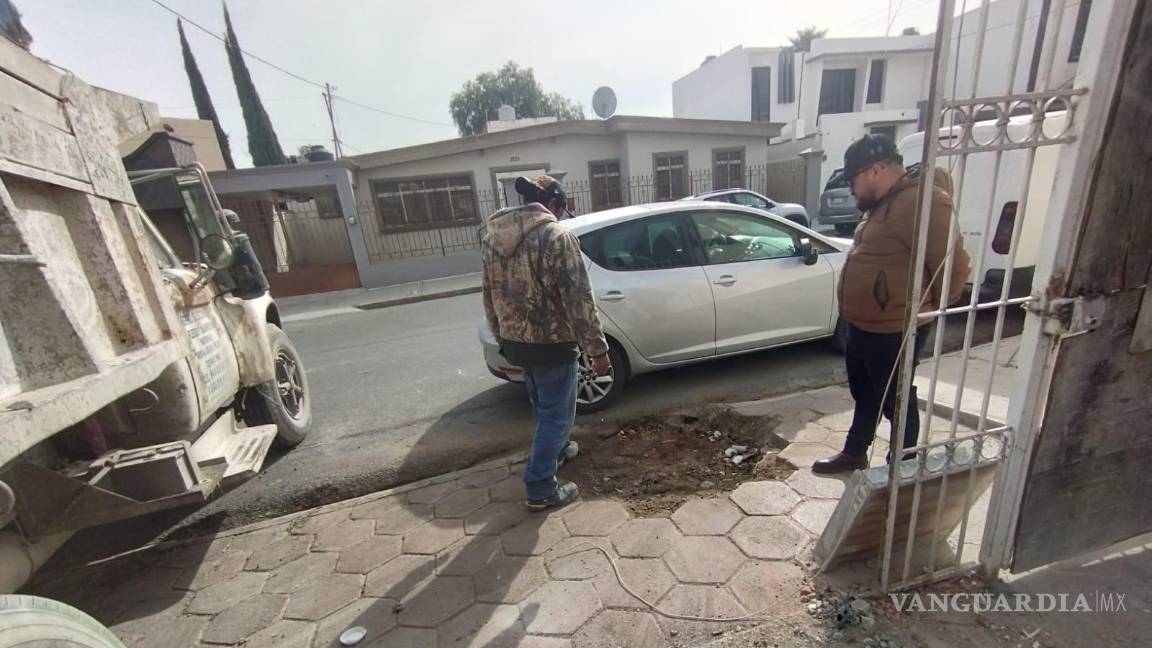$!La denuncia de Saltillo Verde ha puesto en evidencia la falta de controles en la tala de árboles en áreas urbanas, generando un debate sobre la protección del medio ambiente en la ciudad.