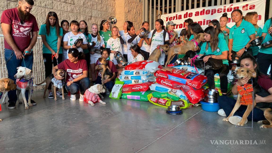 Once ‘lomitos’ encuentran hogar durante feria de adopción en Torreón