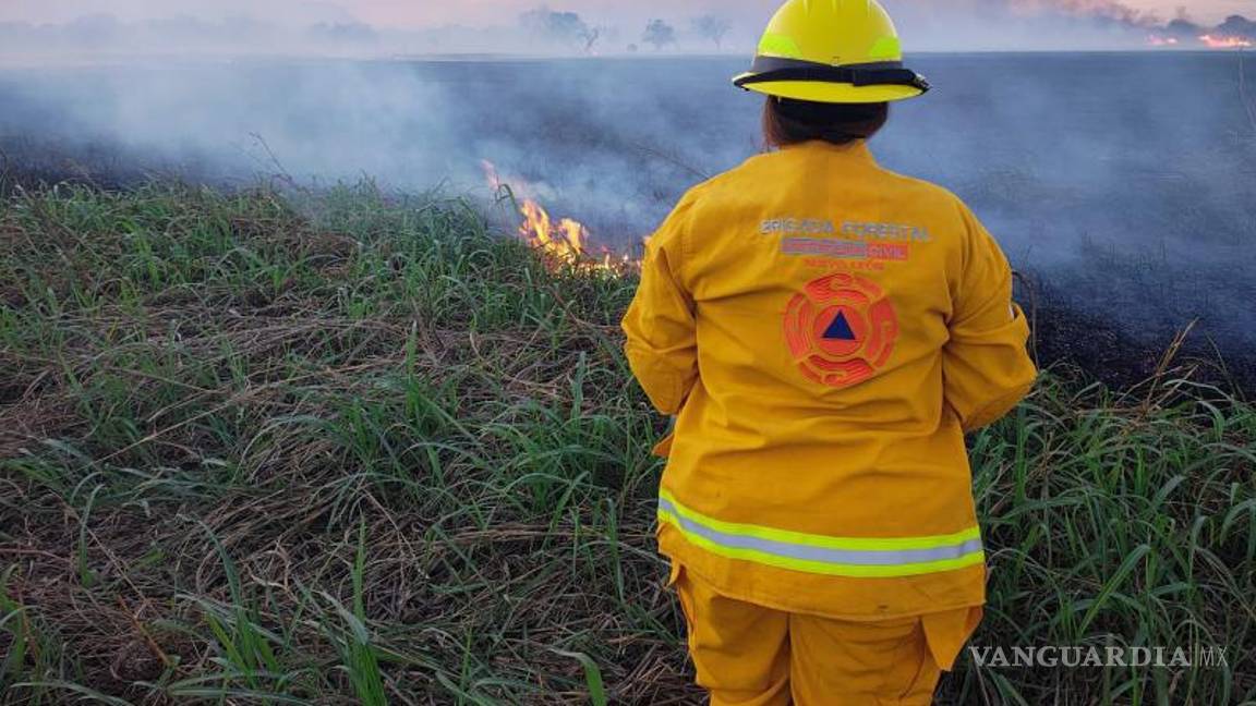 $!Viento, calor y baja humedad ocasionan 315 incendios en NL