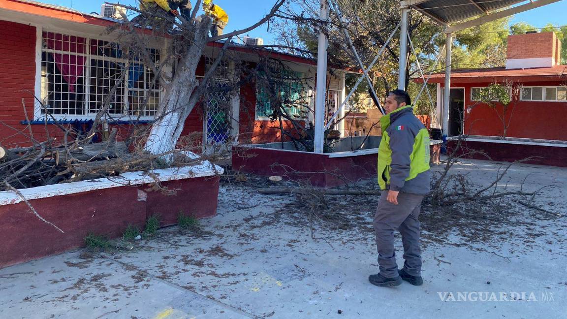$!Algunas escuelas reportan caída de árboles en su interior.