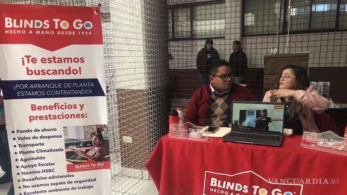 Duplicará su plantilla Blinds to Go en Coahuila